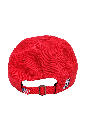 Fightins Cotton Baseball Hat — 2